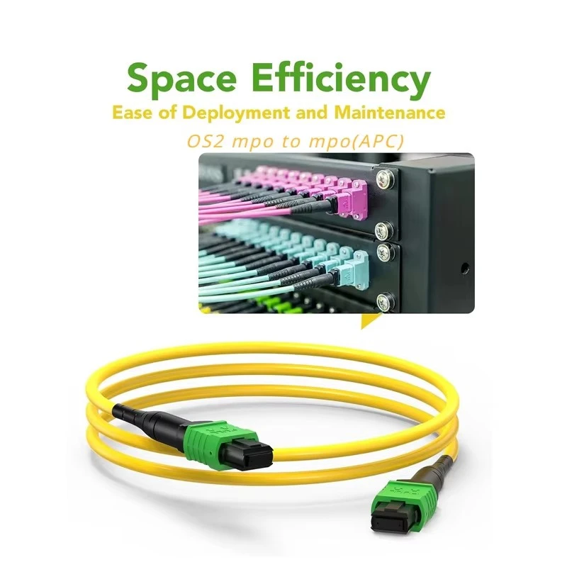 product-800-800