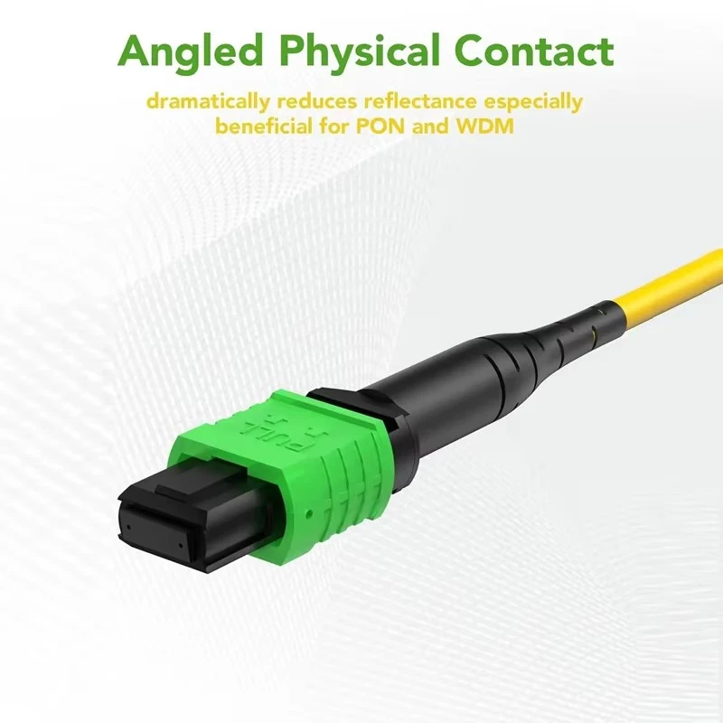 product-800-800